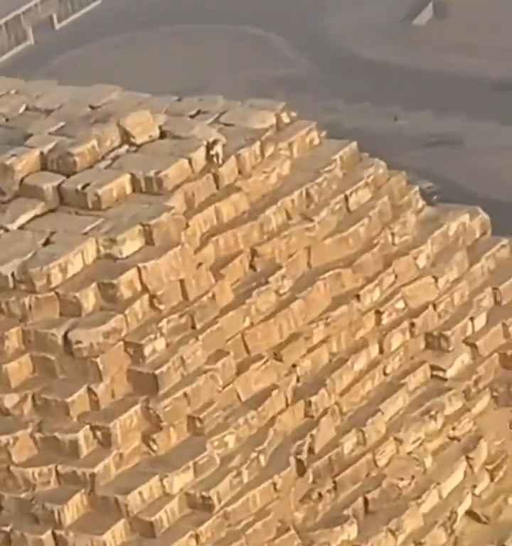 Dios Anubis, perro sube a la pirámide de Giza filmado y el video se vuelve viral