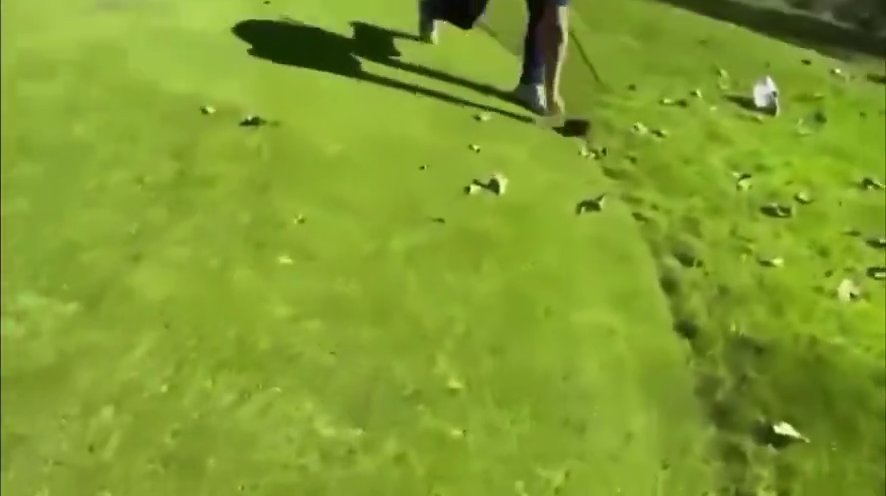 Golfista golpea a su oponente: arrestado