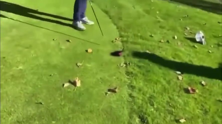 Golfista golpea a su oponente: arrestado