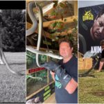 Muere el youtuber Graham "Dingo" Dinkelman tras ser mordido por una cobra
