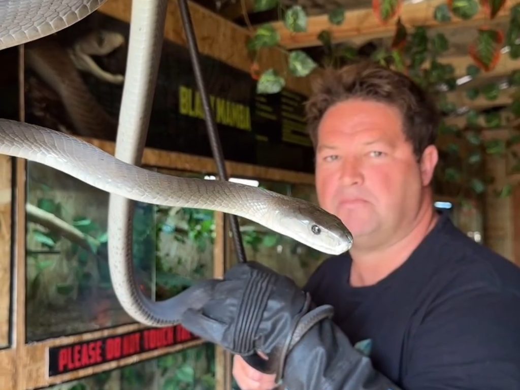 Muere el youtuber Graham "Dingo" Dinkelman tras ser mordido por una cobra