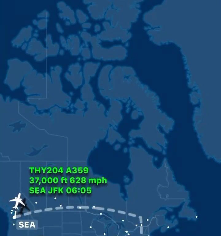 Pilota muore durante il volo, aereo costretto ad atterraggio d'emergenza