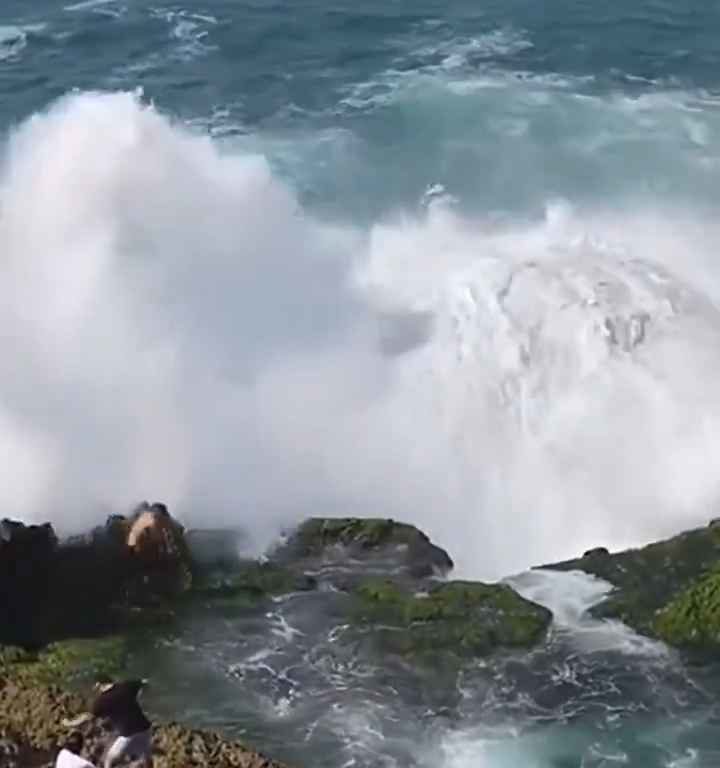 Selfie mortel pour un jeune de 20 ans, submergé par une vague géante sur un rocher : vidéo choc