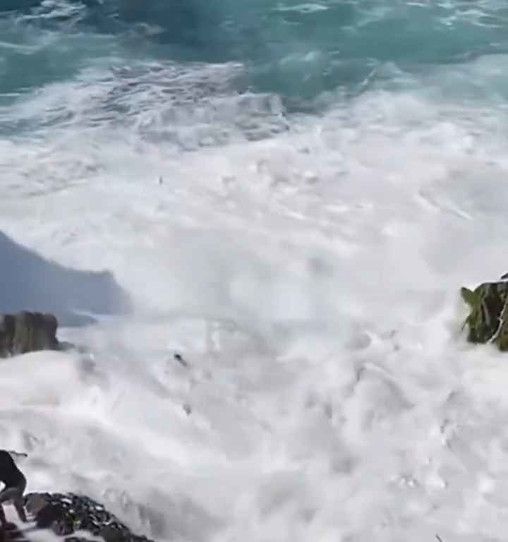 Selfie mortel pour un jeune de 20 ans, submergé par une vague géante sur un rocher : vidéo choc