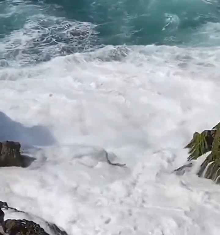 Selfie mortel pour un jeune de 20 ans, submergé par une vague géante sur un rocher : vidéo choc