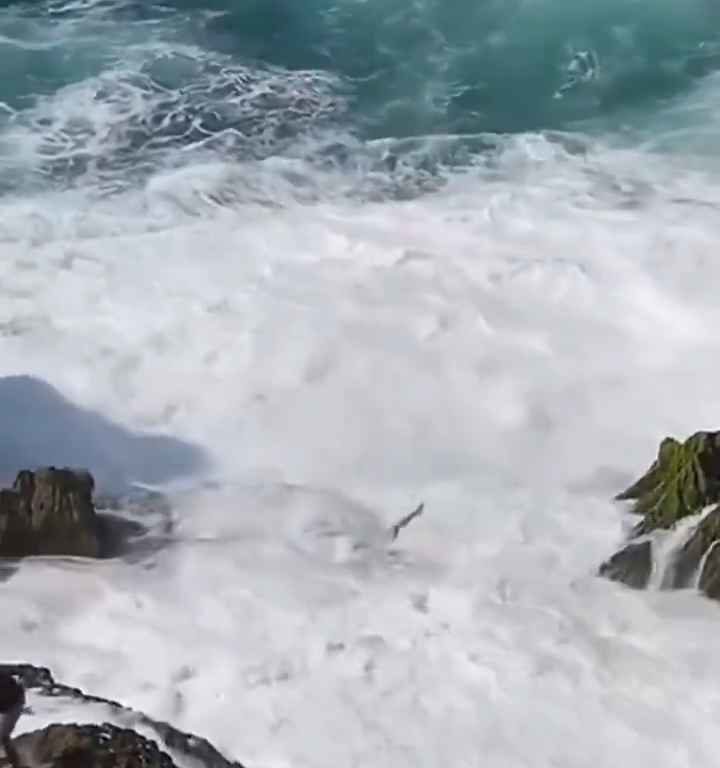 Selfie mortel pour un jeune de 20 ans, submergé par une vague géante sur un rocher : vidéo choc