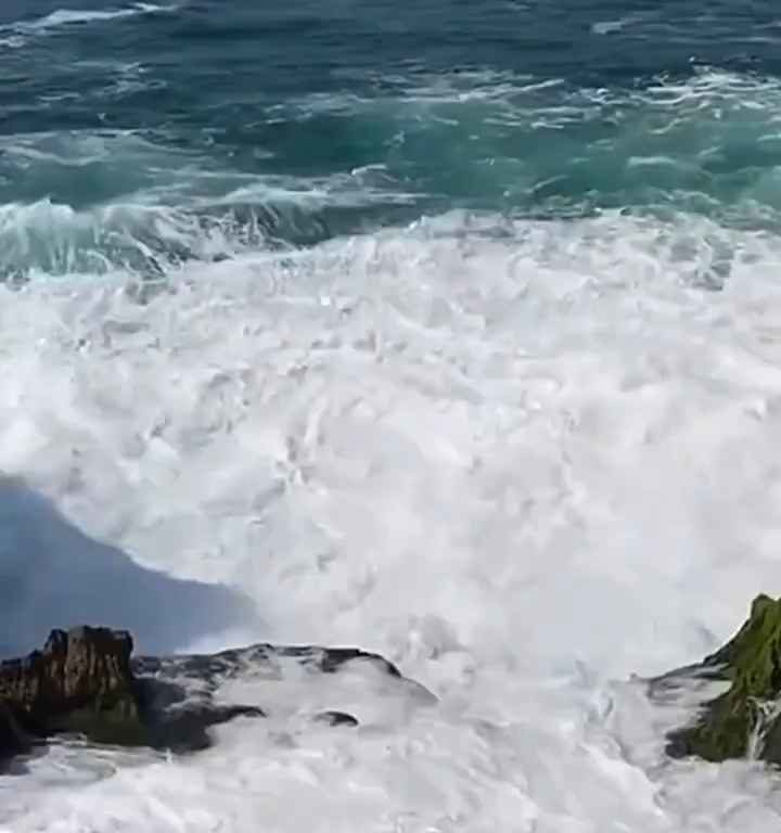 Selfie mortel pour un jeune de 20 ans, submergé par une vague géante sur un rocher : vidéo choc