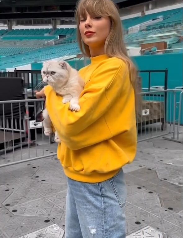 Taylor Swift insultada antes de un concierto por partidarios de Trump: "¡Gattara!"