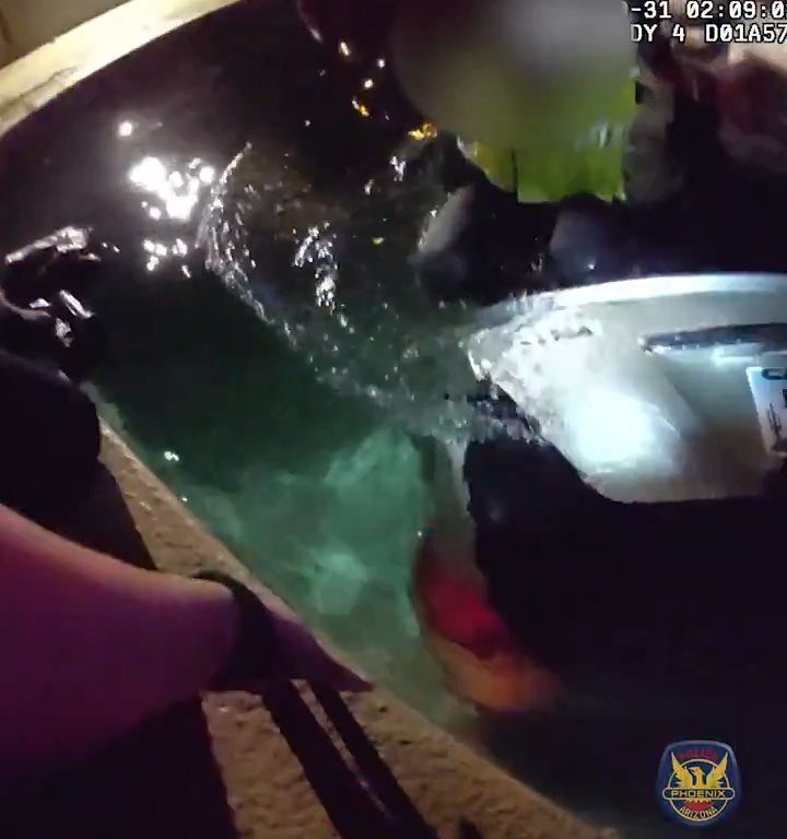 Auto prallt in Schwimmbad, dramatische Rettung durch die Polizei: Video