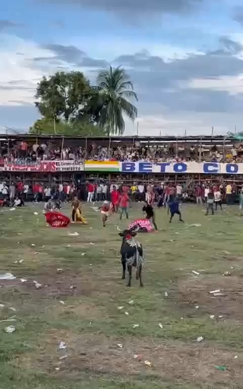 Trágica corrida de toros, hombre intenta saltar sobre el toro y muere corneado impactante video