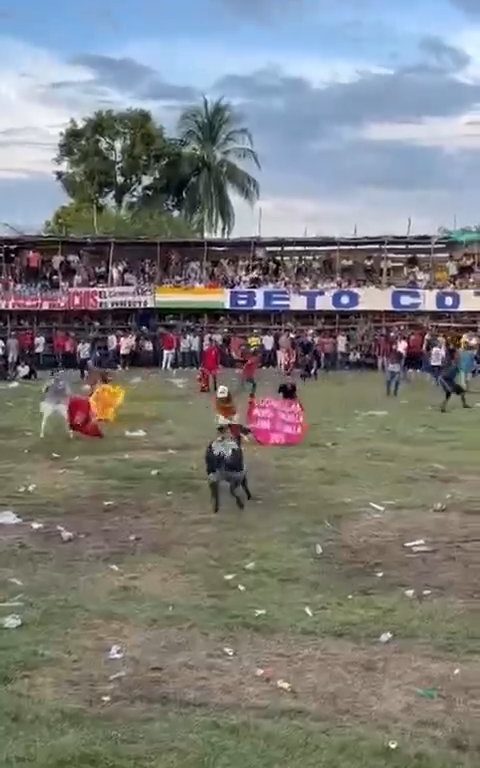 Trágica corrida de toros, hombre intenta saltar sobre el toro y muere corneado impactante video