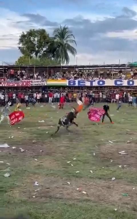 Trágica corrida de toros, hombre intenta saltar sobre el toro y muere corneado impactante video