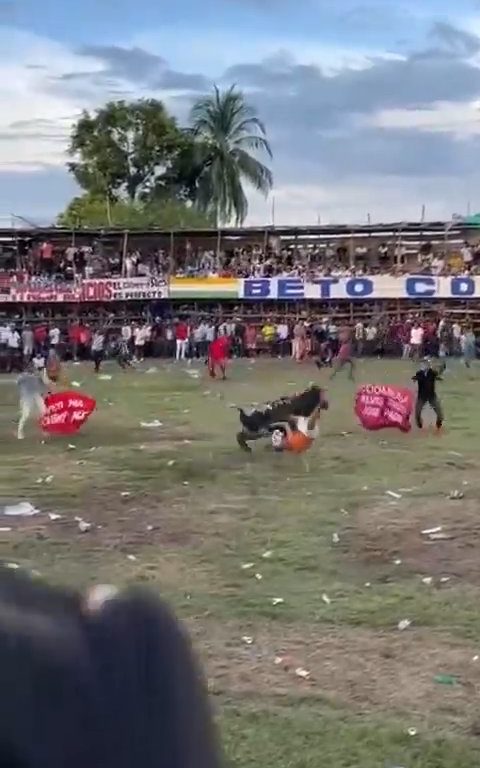 Trágica corrida de toros, hombre intenta saltar sobre el toro y muere corneado impactante video