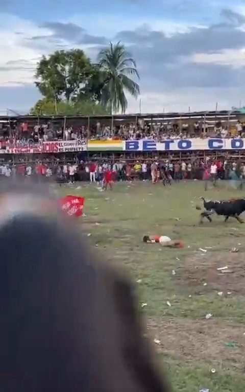 Trágica corrida de toros, hombre intenta saltar sobre el toro y muere corneado impactante video