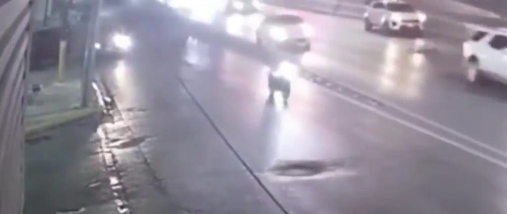 Donna nuda attraversa autostrada e si fa travolgere: video shock