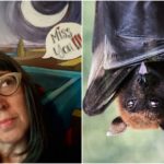 Fledermaus beißt Lehrer im Klassenzimmer: Frau starb an Tollwut