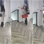 Influencerin zeigt Video vom Birkin-Diebstahl beim Anprobieren in der Umkleidekabine: „Ich war komplett nackt“