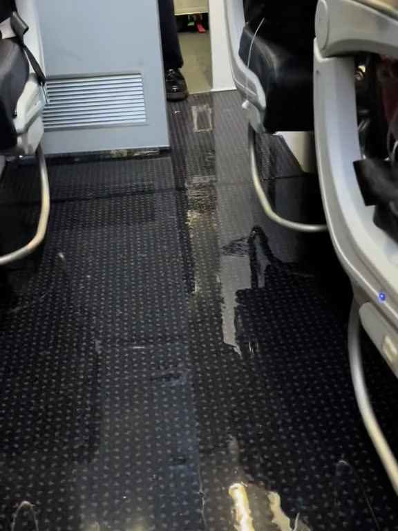 Un passager va aux toilettes et casse les toilettes : un avion à haute altitude est inondé