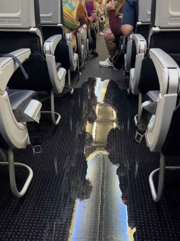 Un passager va aux toilettes et casse les toilettes : un avion à haute altitude est inondé