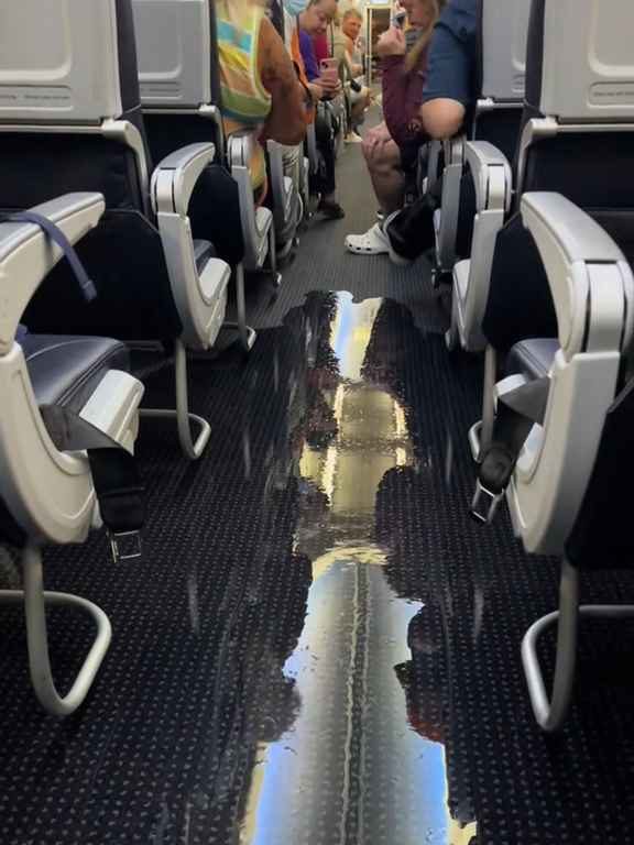 Un passager va aux toilettes et casse les toilettes : un avion à haute altitude est inondé