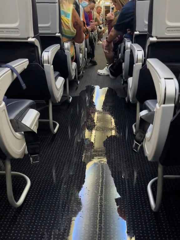 Un passager va aux toilettes et casse les toilettes : un avion à haute altitude est inondé