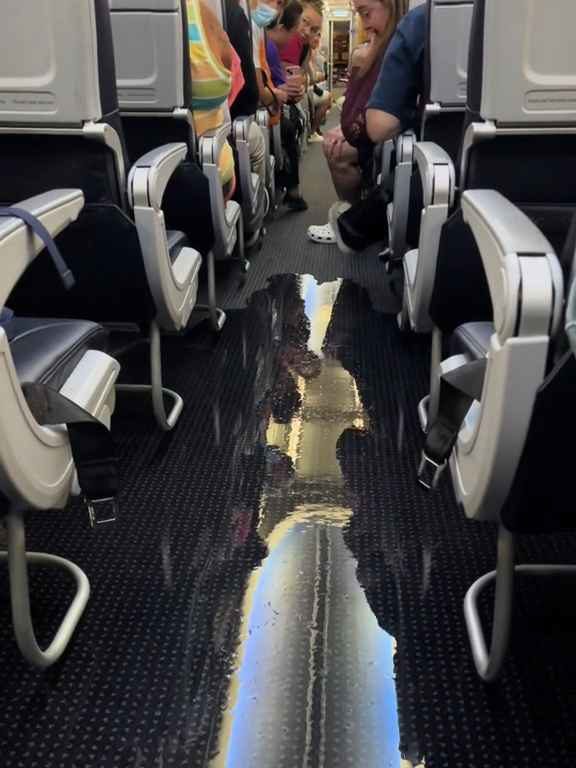 Un passager va aux toilettes et casse les toilettes : un avion à haute altitude est inondé