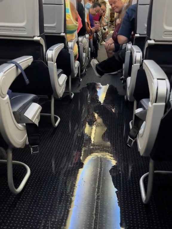 Un passager va aux toilettes et casse les toilettes : un avion à haute altitude est inondé