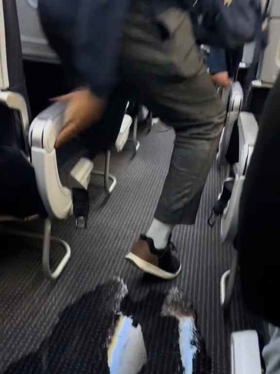 Un passager va aux toilettes et casse les toilettes : un avion à haute altitude est inondé