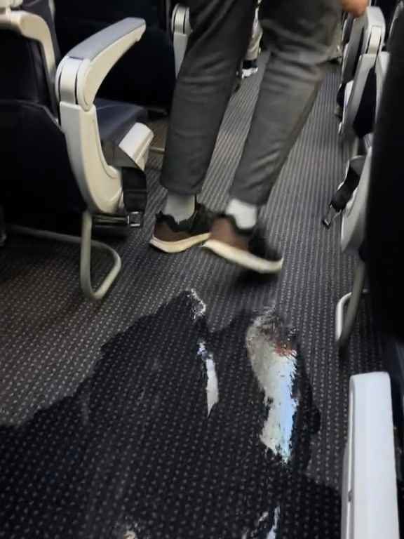 Un passager va aux toilettes et casse les toilettes : un avion à haute altitude est inondé