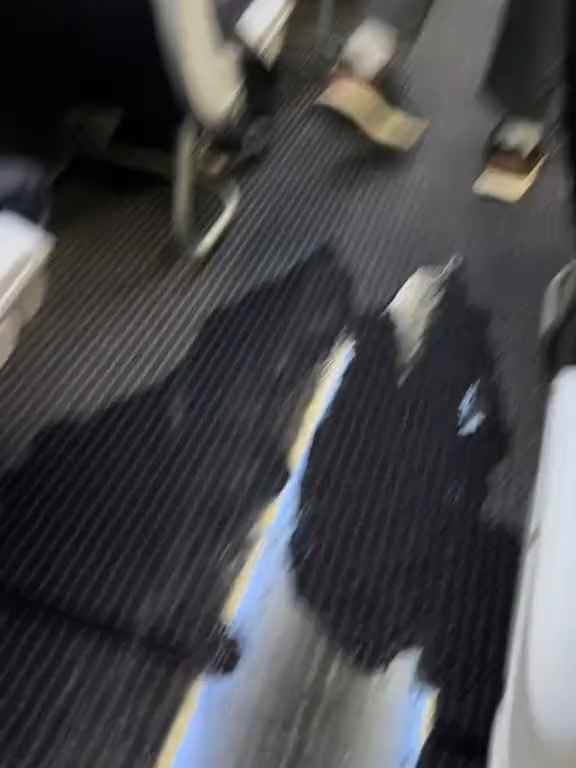 Un passager va aux toilettes et casse les toilettes : un avion à haute altitude est inondé