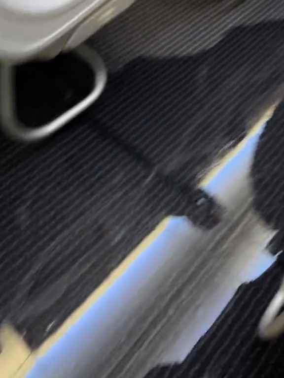 Un passager va aux toilettes et casse les toilettes : un avion à haute altitude est inondé