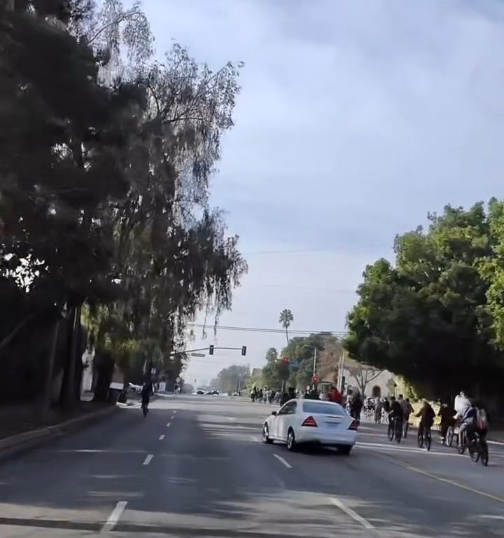 Los ciclistas invaden la carretera, un automovilista al estilo GTA casi los atropella: atrapados y golpeados