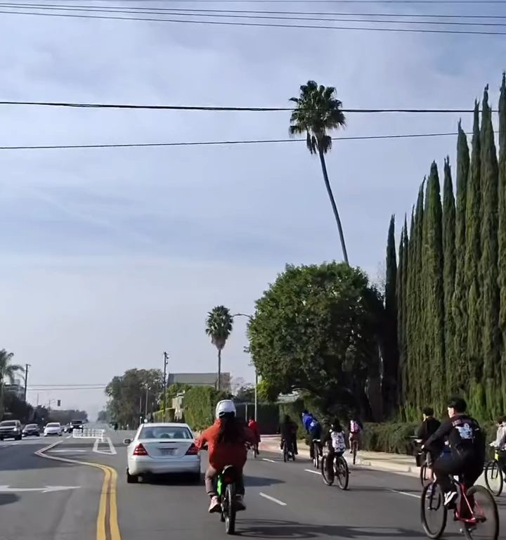 Los ciclistas invaden la carretera, un automovilista al estilo GTA casi los atropella: atrapados y golpeados