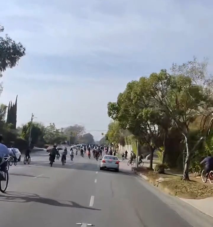 Los ciclistas invaden la carretera, un automovilista al estilo GTA casi los atropella: atrapados y golpeados