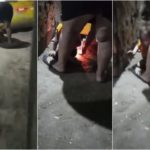 Mutter versucht, ihre dreijährige Tochter bei lebendigem Leibe zu verbrennen. Video zeigt sie