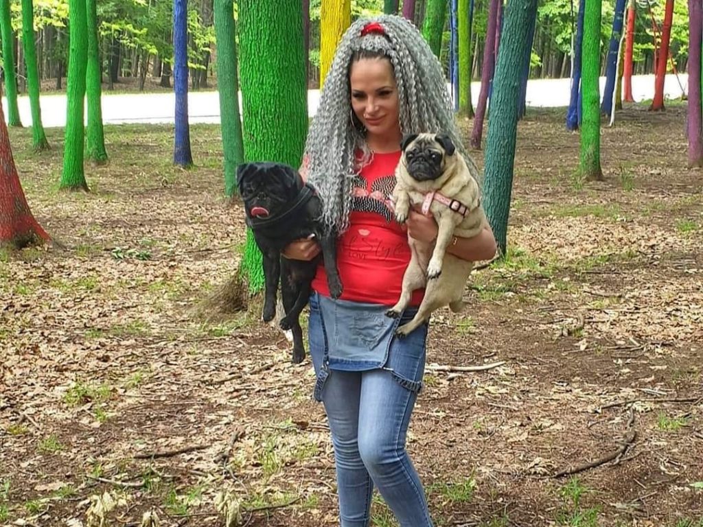 Muere en su casa, encontrada después de 10 días: sus perros pug la habían devorado