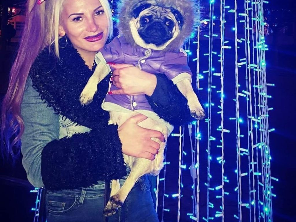 Muere en su casa, encontrada después de 10 días: sus perros pug la habían devorado