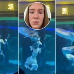 Aquarium-Show endet beinahe in einer Tragödie: Riesenstör reißt Entertainer fast den Kopf ab