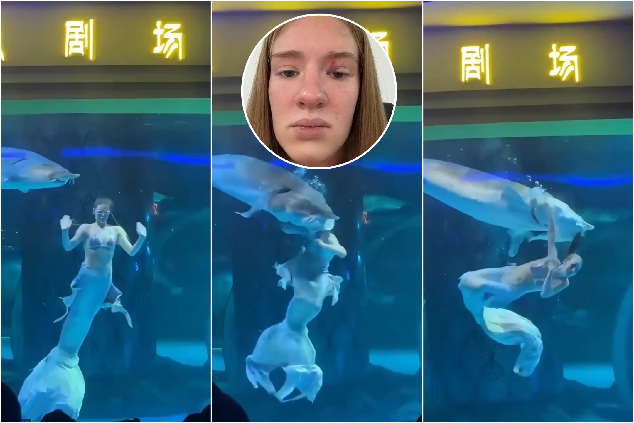 Espectáculo en acuario casi termina en tragedia: un esturión gigante casi le arranca la cabeza a un artista