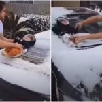 Mann benutzt Baby zum Reinigen der Windschutzscheibe und veröffentlicht Video wegen Missbrauchs