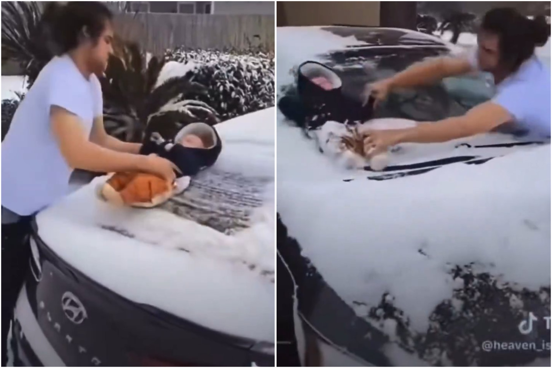 Utiliza a un recién nacido para limpiar su parabrisas y publica un video denunciado por abuso