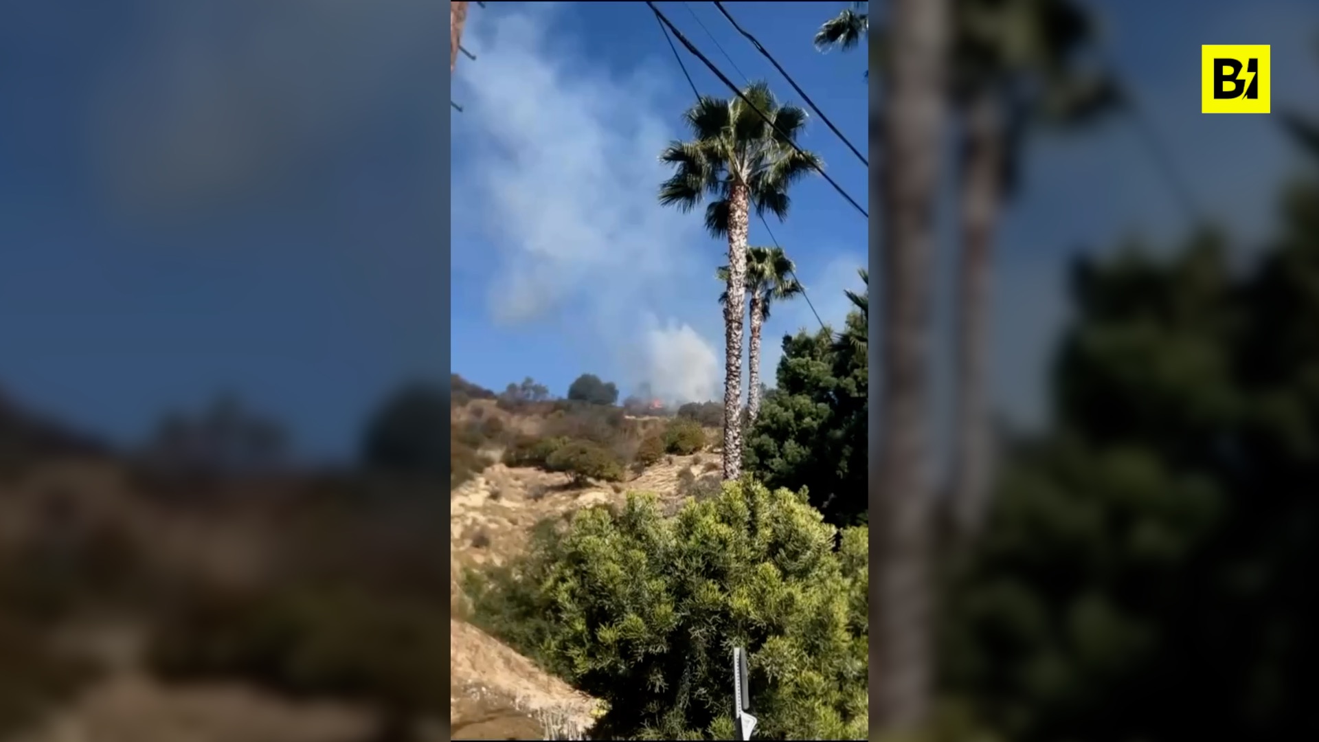 Incluso Vasco Rossi en el infierno de los incendios en Los…