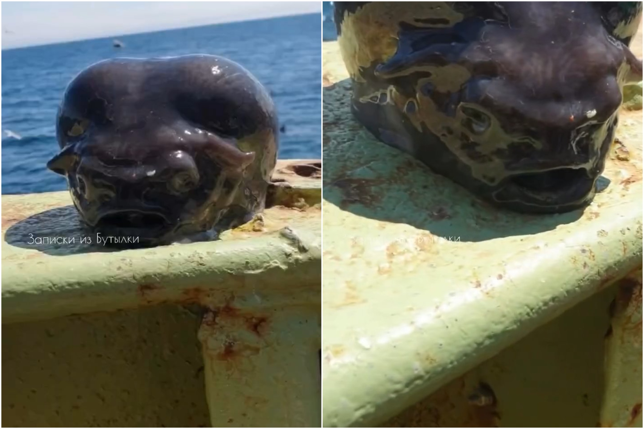 Un monstruo marino alienígena fue captado en un vídeo de terror en las profundidades del mar
