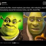 Shrek und das Facelift, Fans wütend: Jetzt ist der Oger weibisch