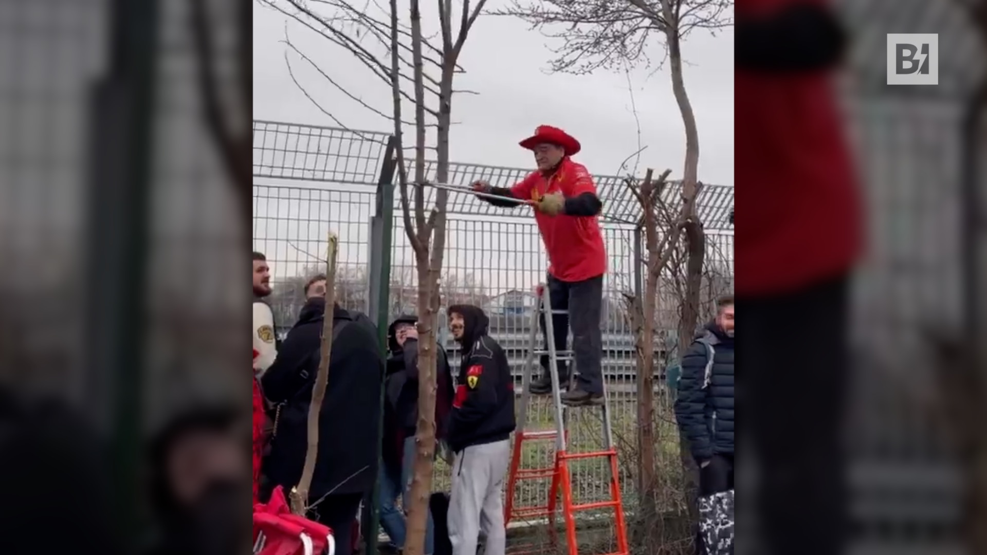 Un fan de Ferrari corta un árbol para ver...