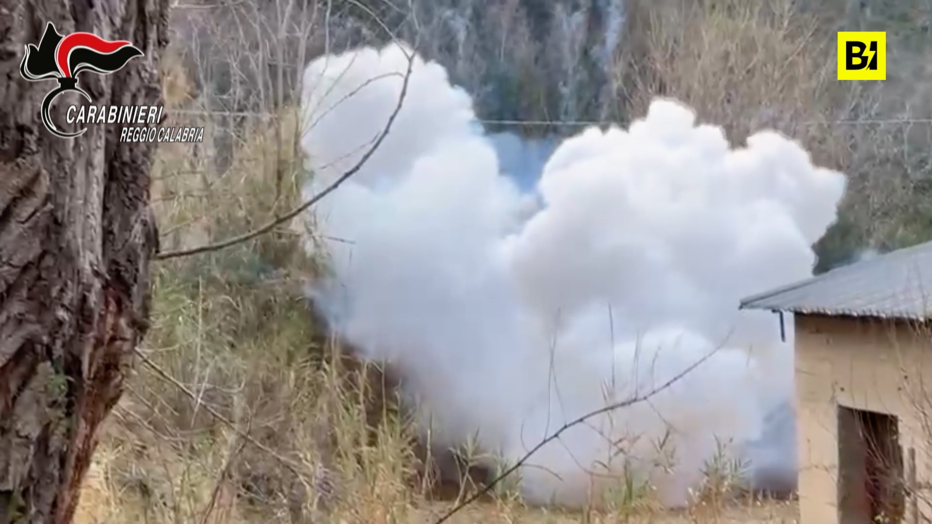 Reggio Calabria, un arsenal de armas descubierto por…