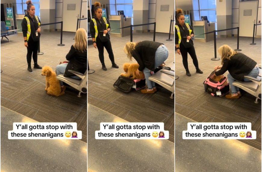 Donna tenta di portare il cane in aereo in un micro trasportino: video diventa virale