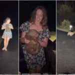 Un influenceur dans la tempête : il arrache un bébé wombat à sa mère pour une photo