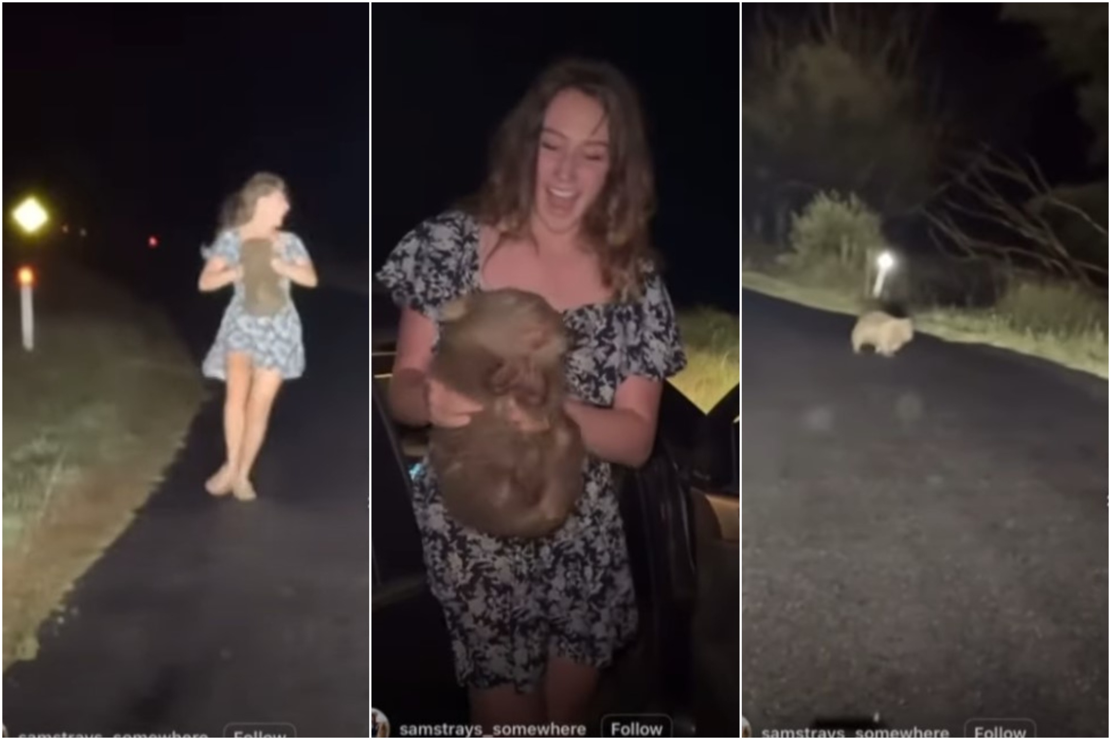 Influencer en la tormenta: le arrebata el cachorro a…