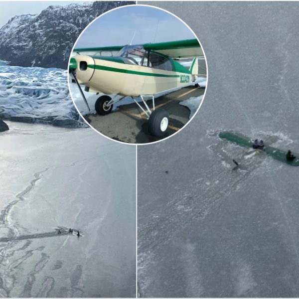 Avión se estrella en un lago congelado. Dos personas...